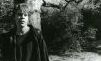 David Johansen  1977   Central Park, NYC.jpg